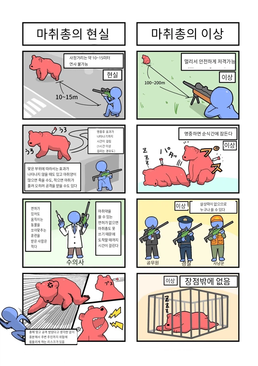 맹수 출현시 마취총을 쓰기 어려운 이유.jpg_1.webp