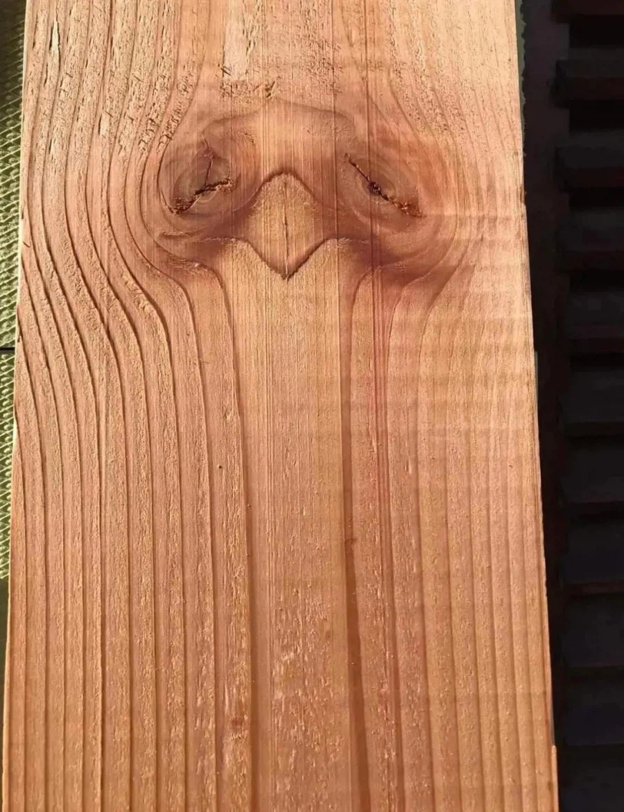 유명한그림) 좌뇌가 발달했으면 나무, 우뇌 발달했으면 손 잡은 두사람_1.webp