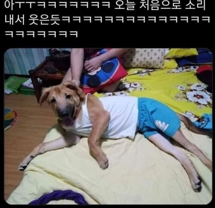 아버지 :
