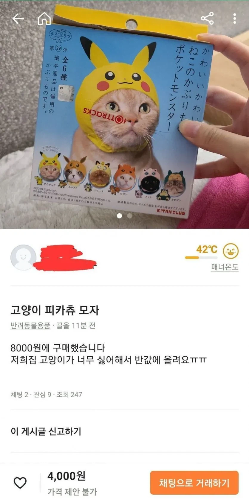 당근마켓 고양이 모자 판매 이유_1.webp