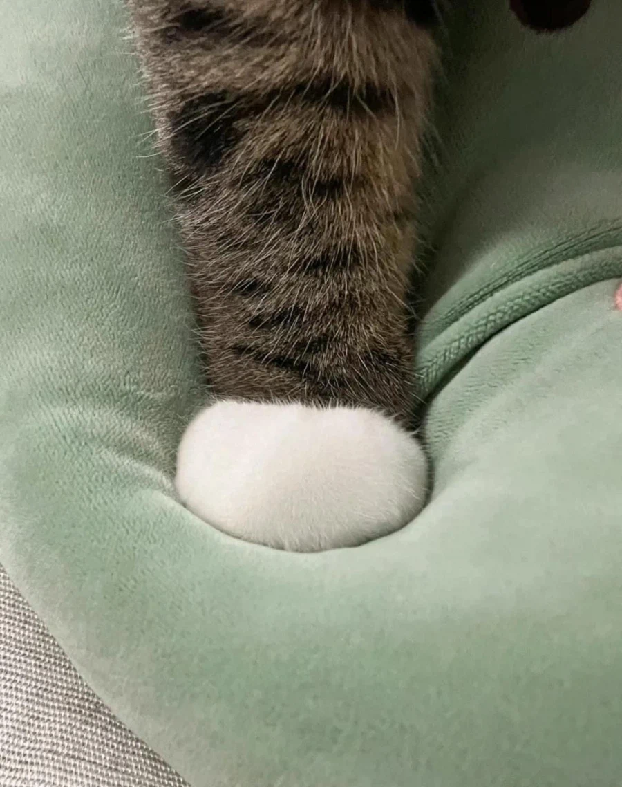 발이 이쁜 아이_1.webp