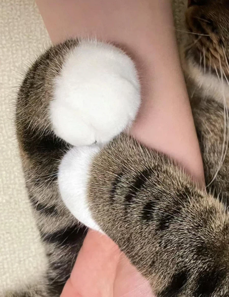 발이 이쁜 아이_3.webp