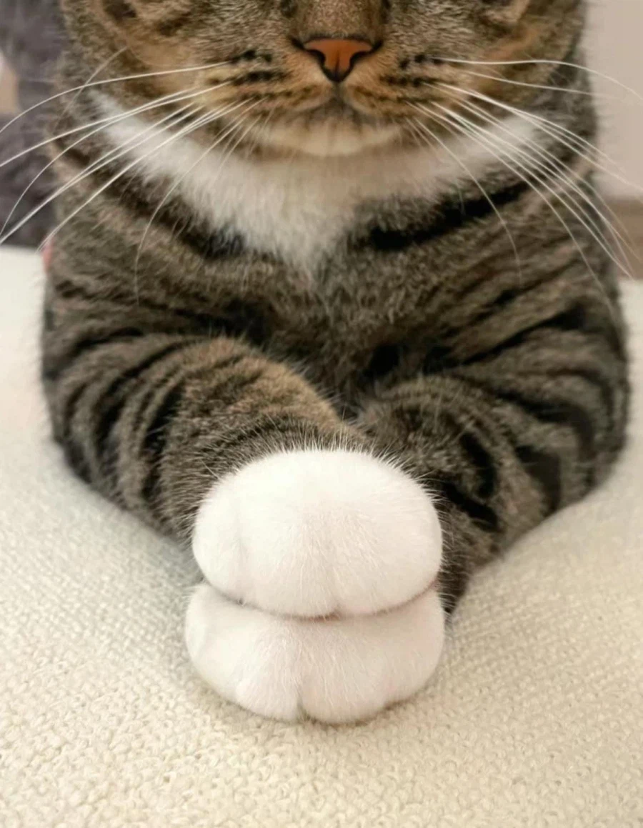 발이 이쁜 아이_4.webp