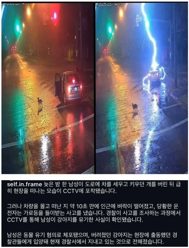 댕댕이 썬더!_1.webp