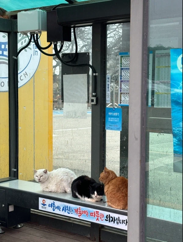 버스정류장 난방 벤치.jpg_1.webp