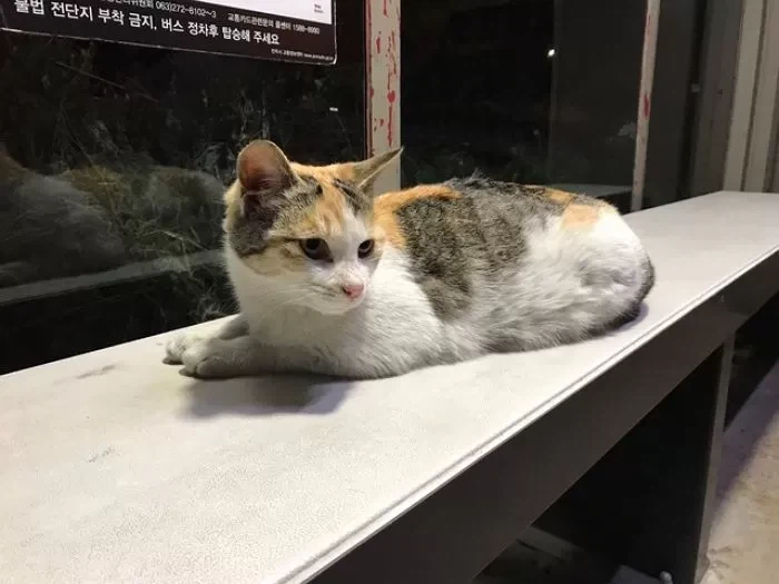 버스정류장 난방 벤치.jpg_2.webp