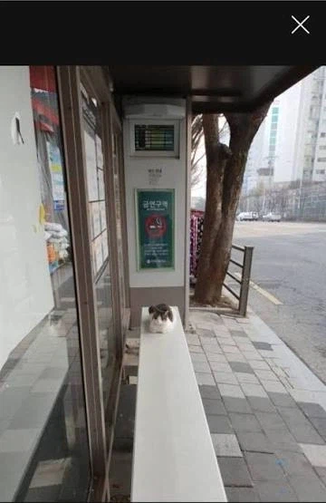 버스정류장 난방 벤치.jpg_3.webp