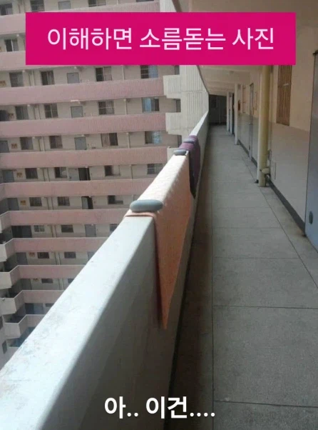 이해하면 소름돋는 사진_1.webp