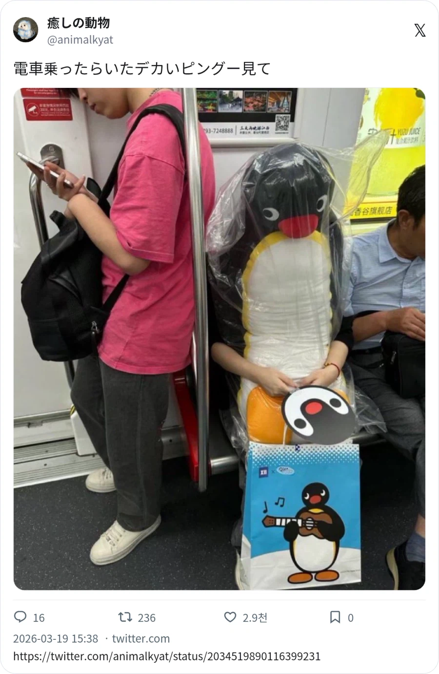 기차 탄 핑구_1.webp