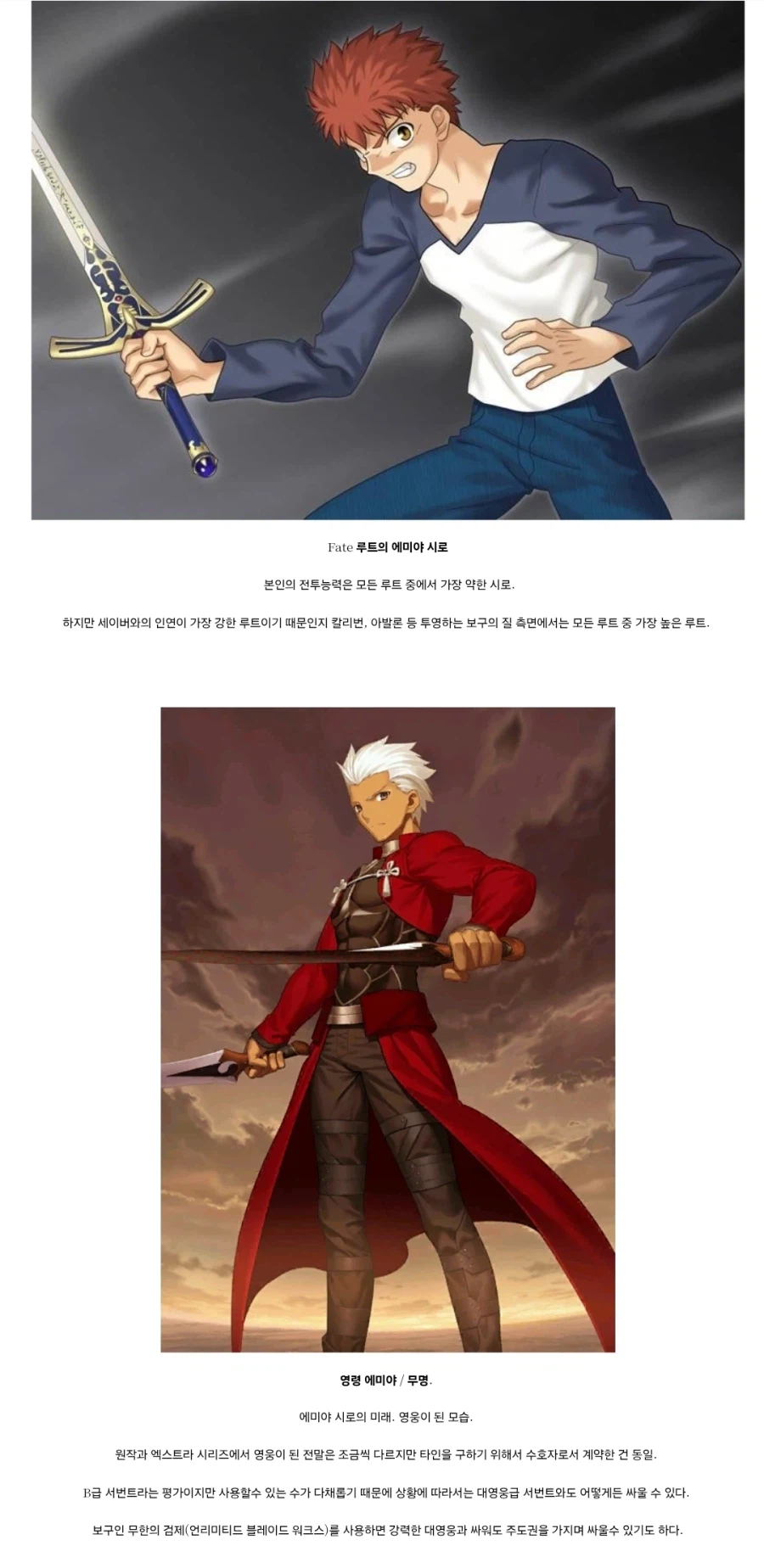 페이트) 에미야 시로의 바리에이션_1.webp