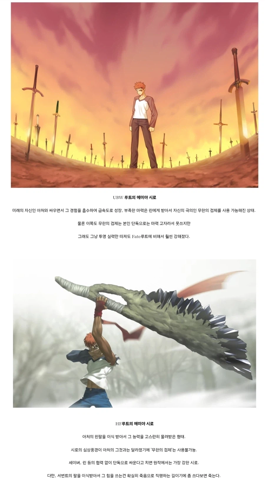 페이트) 에미야 시로의 바리에이션_2.webp