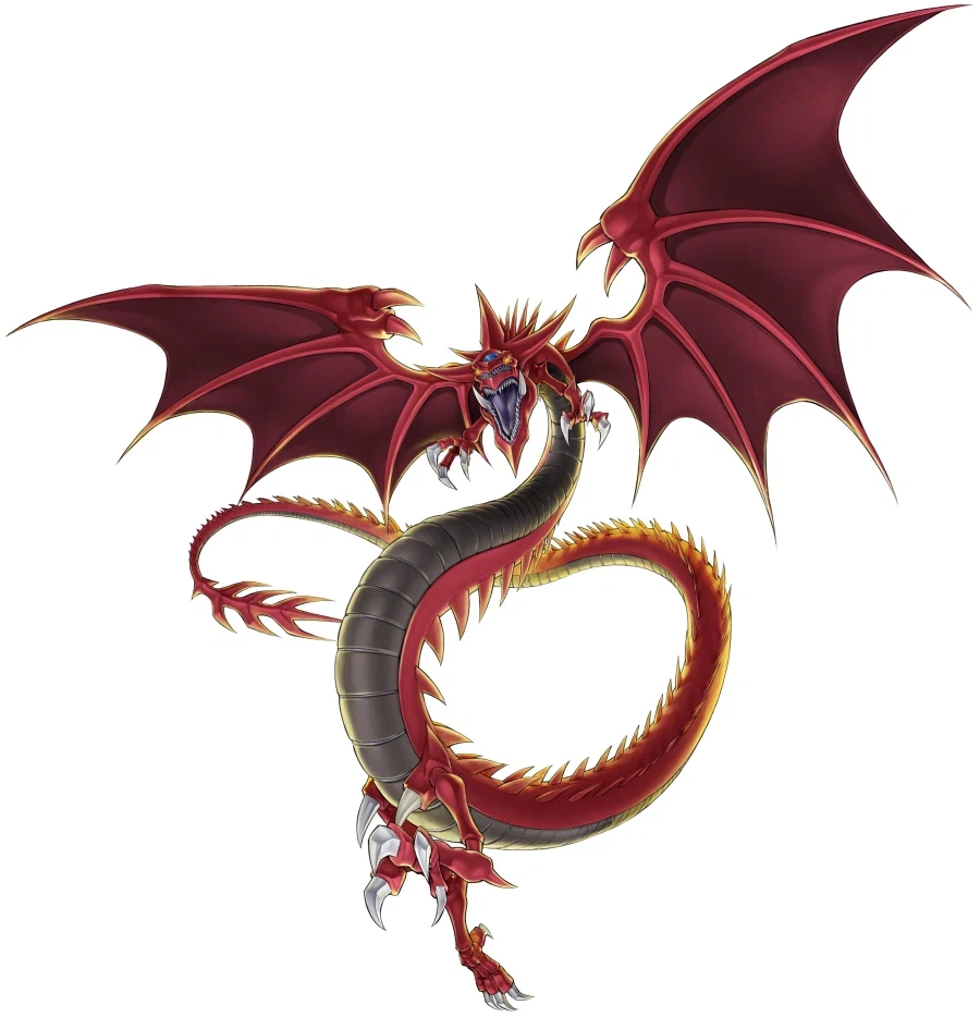 의외로 많은사람들이 착각하는것_1.webp