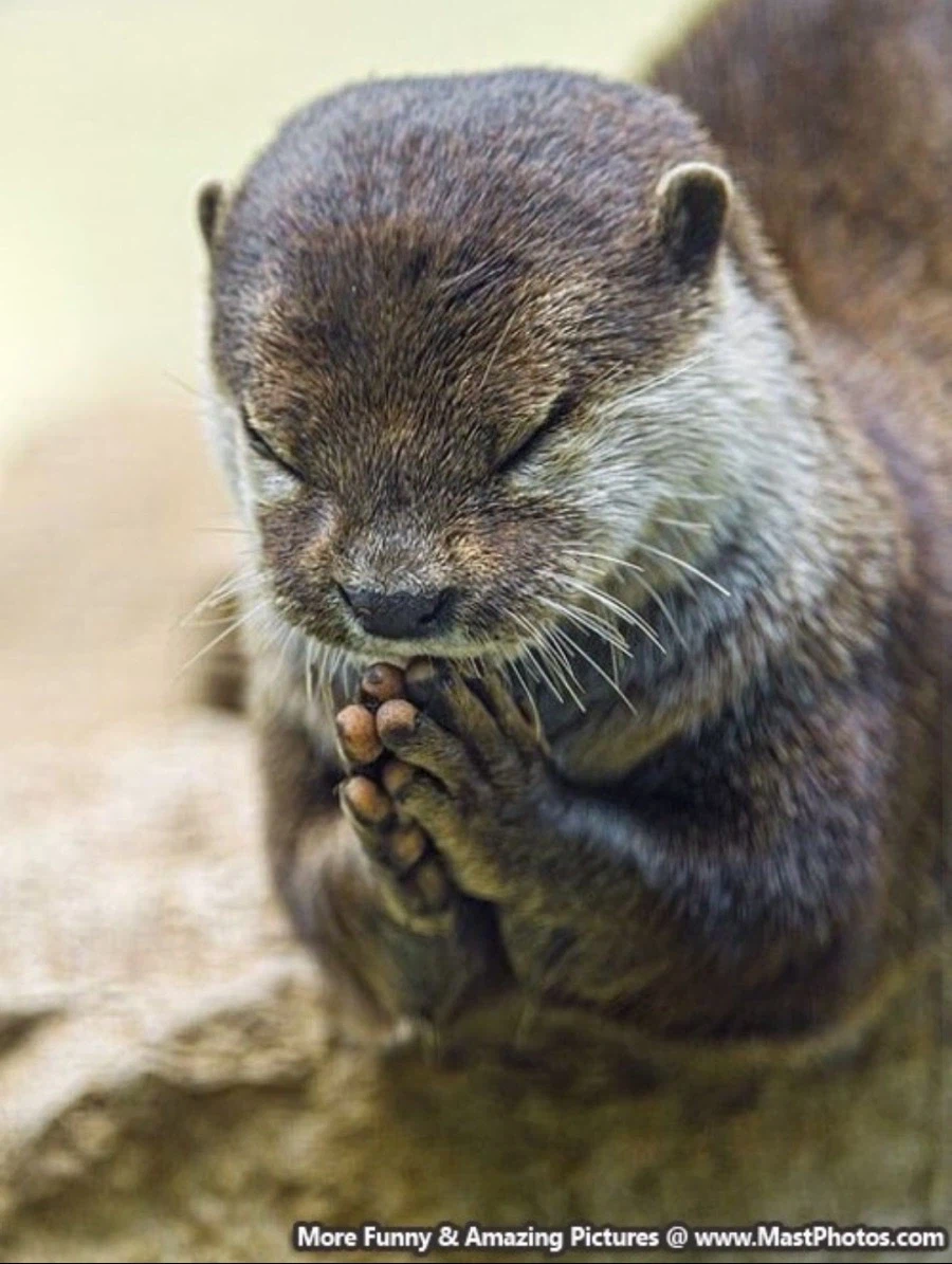 코딩을 할 때 입력을 정확하게 해야 하는 이유_2.webp