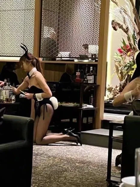 일본 도쿄의 토끼 카페_3.webp