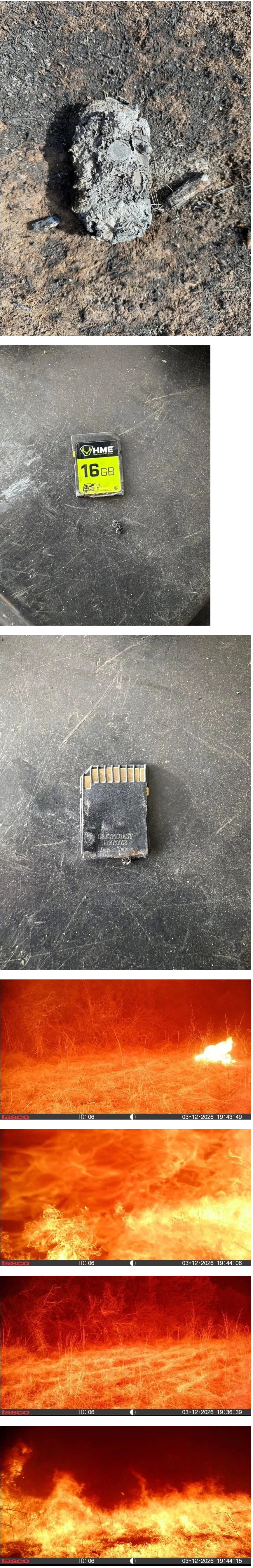 산불의 불길 속에서도 살아남아 사진을 기록한 트레일 카메라_1.webp