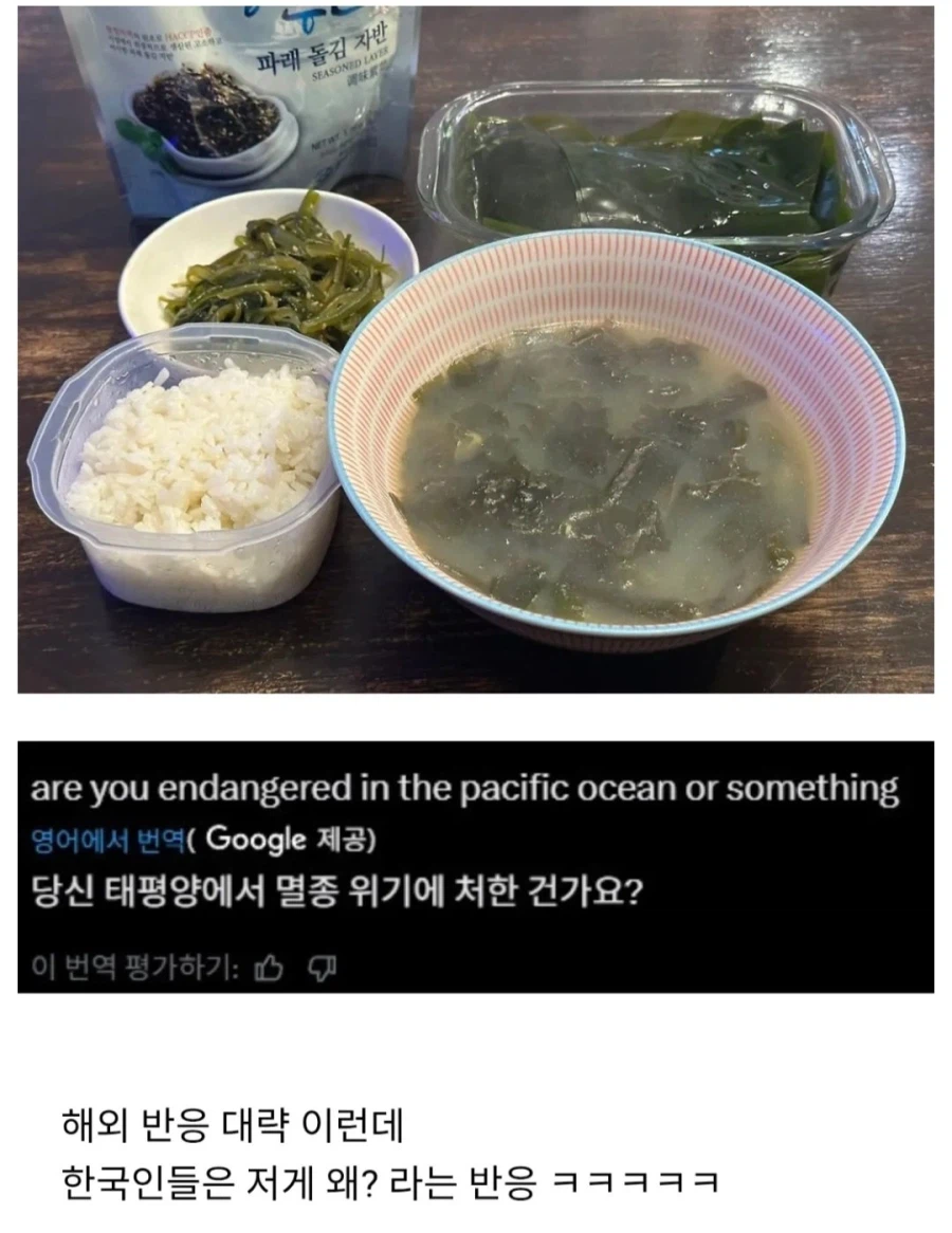 외국인: 젠장..한국 너희들 멸종되는거야? 밥 상태가...._1.webp