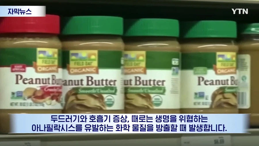 아시아 부모들이 알레르기에도 먹였던 이유?!_2.webp