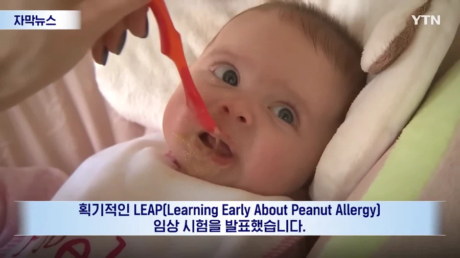 아시아 부모들이 알레르기에도 먹였던 이유?!_6.webp