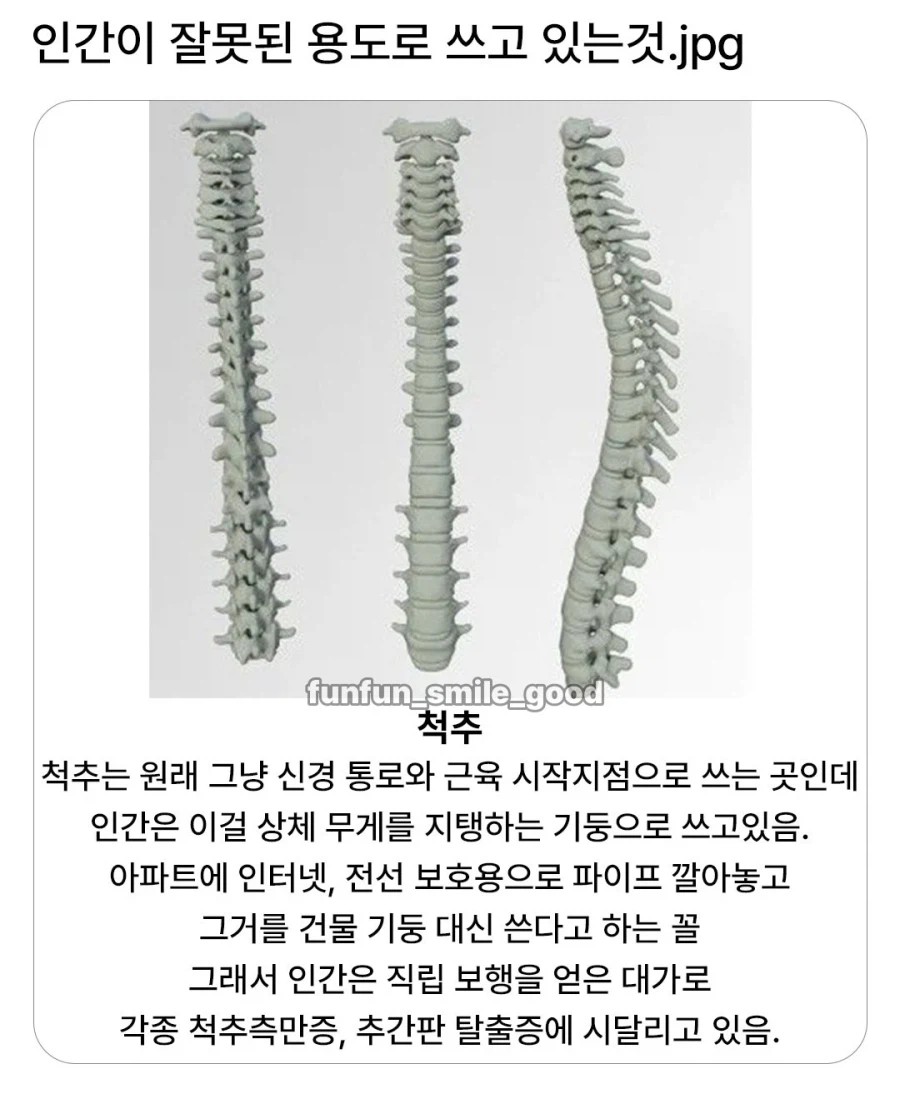 인간이 잘못 쓰고 있다는거_1.webp