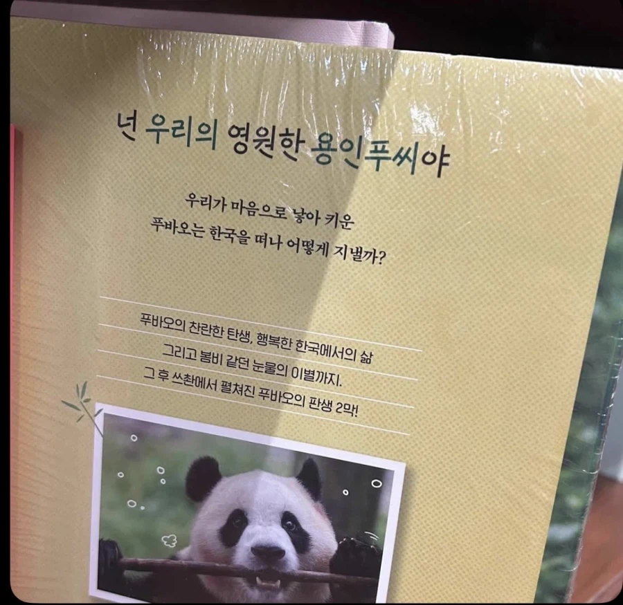 넌 영원한 용인푸씨야_1.webp