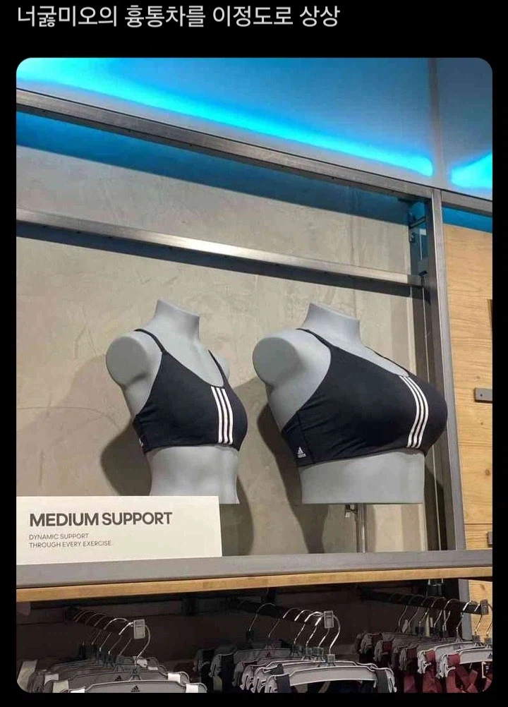 지구와 수성의 차이.jpg_1.webp