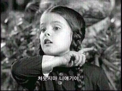 쳐웃지마 니 얘기야 짤 특_1.webp