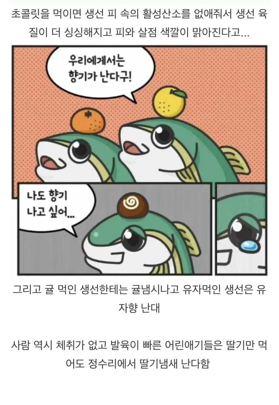 어떤 생선이 출하전에 먹는 음식_2.webp