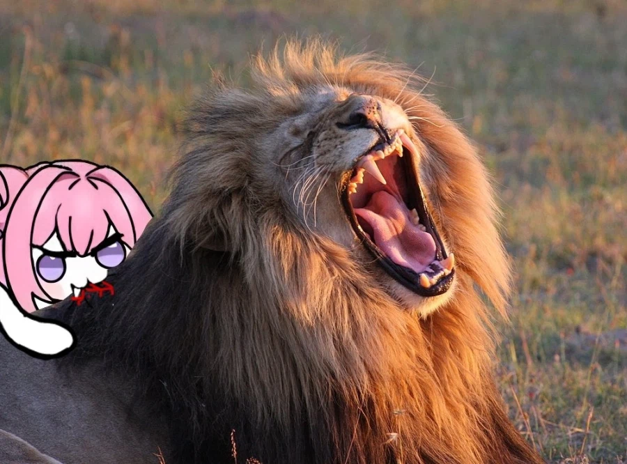 ?? : 도로롱은 강해!_1.webp