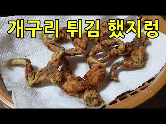 너네 개구리 뒷다리 안 먹어봤어?_1.webp