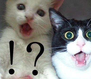 광화문 근처 편의점 모습.jpg_2.webp