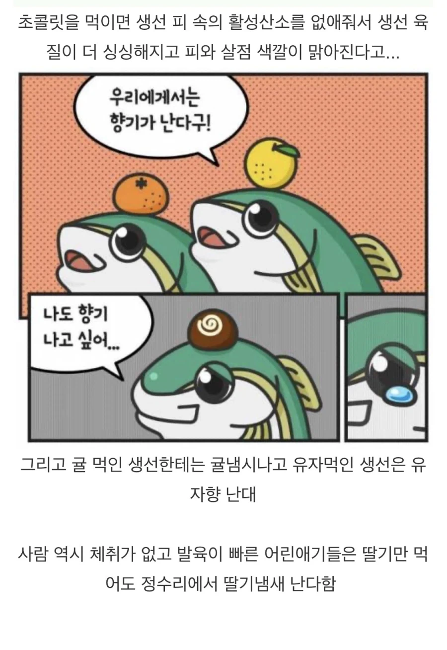 어떤 생선이 출하전에 먹는 음식.jpg_2.webp