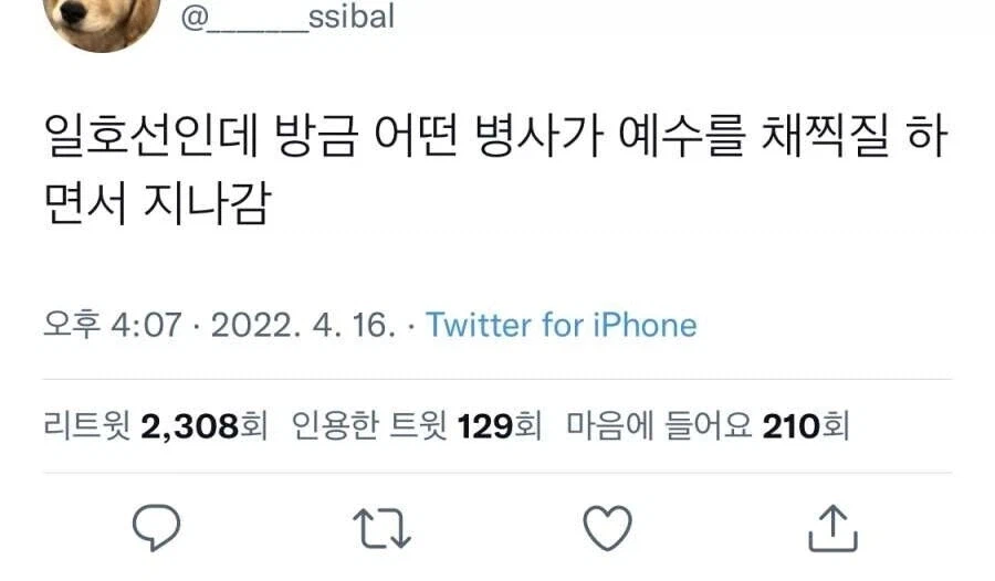 로마 지하철 특_1.webp