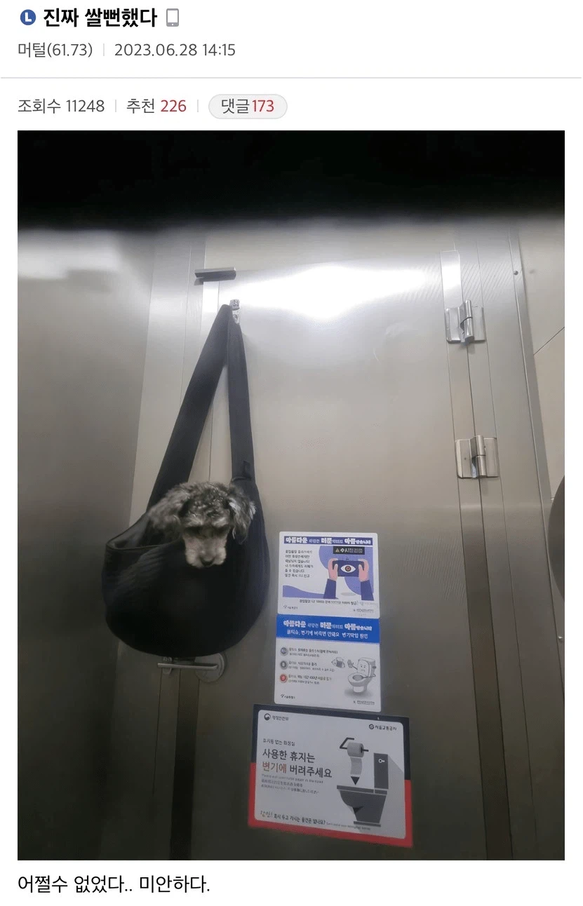 눈으로 욕하는 강아지_1.webp