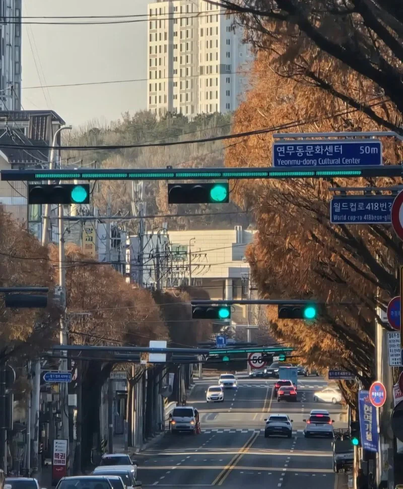 40년 만에 바뀌는 신호등 디자인_1.webp