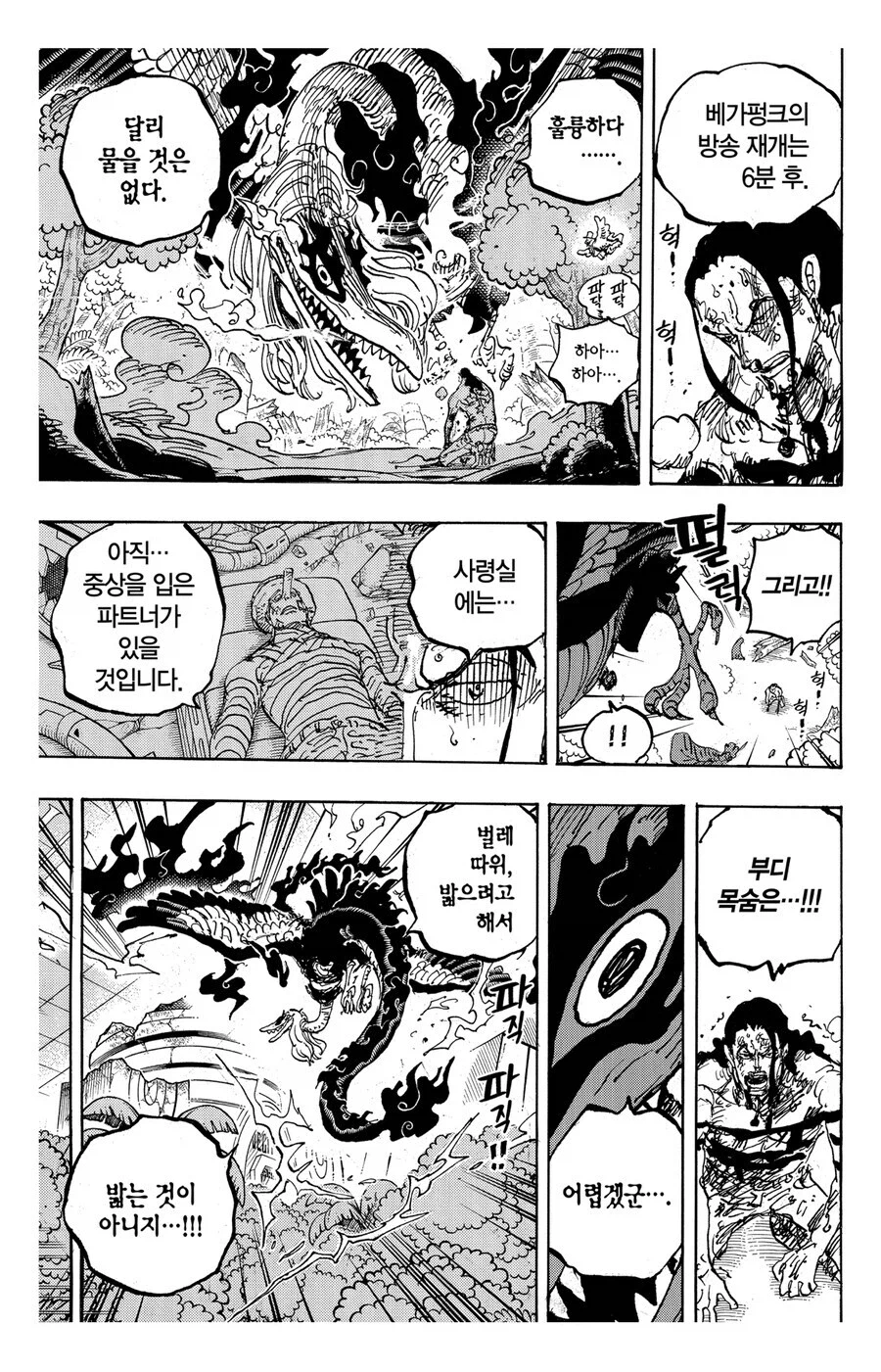 원피스 마스성이 루치의 편의를 쬐끔 봐준 이유_3.webp