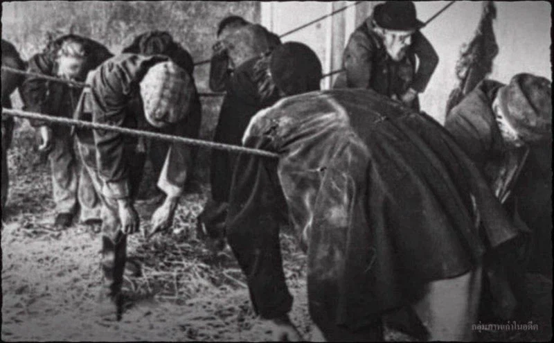 범죄자들을 격리시키는것도 사실 큰 효과가 없던 인류사의 검증사례_3.webp