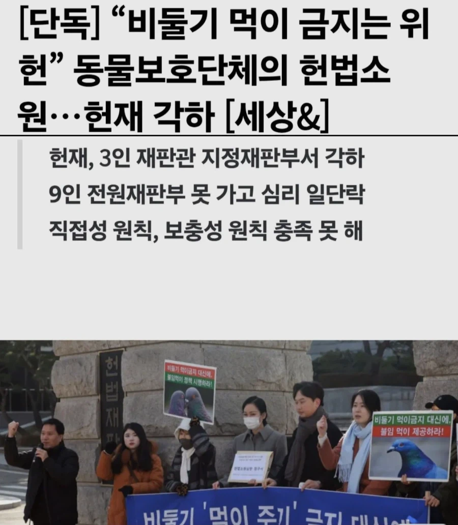 “비둘기 먹이 금지는 위헌” 동물보호단체의 헌법소원…헌재 각하_1.webp