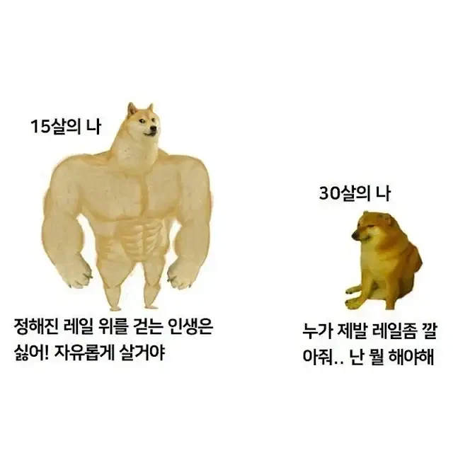 30대 넘으면 공감하는 짤_1.webp