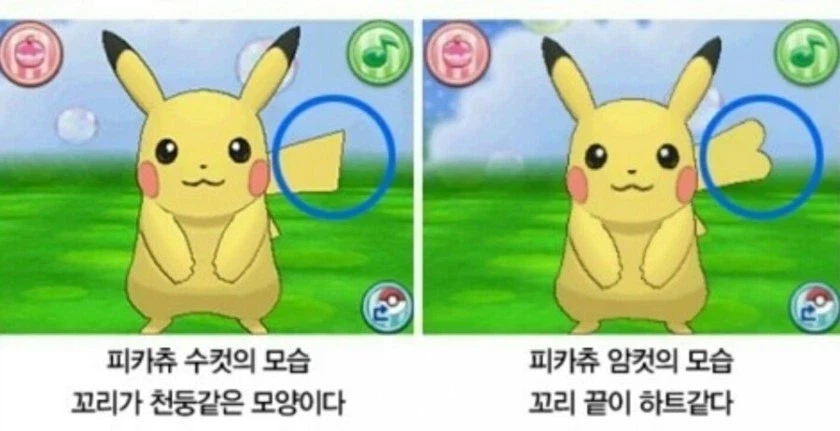 피카츄 설정 변경 때문에 이상해진 포애니 에피소드_2.webp