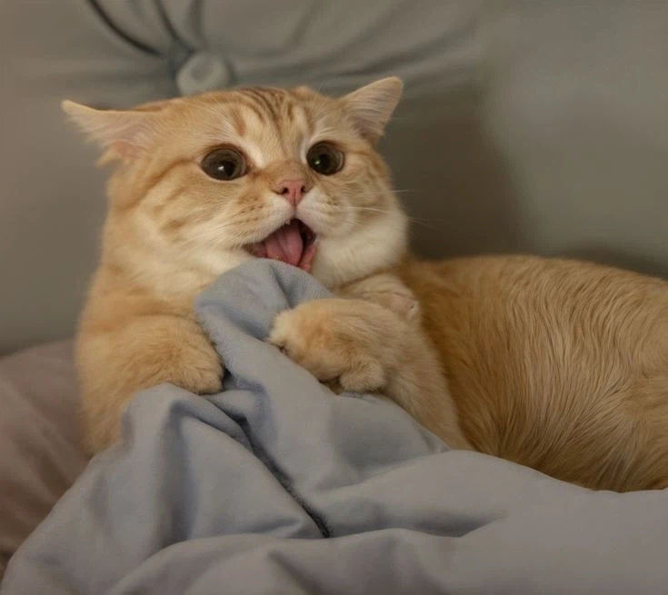 사람들이 날 왜 똥믈리에라고 하지?.movie_1.webp