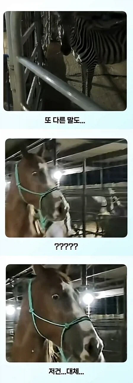 전신 문신 처음 본 반응_2.webp