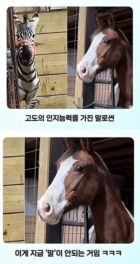 전신 문신 처음 본 반응_3.webp