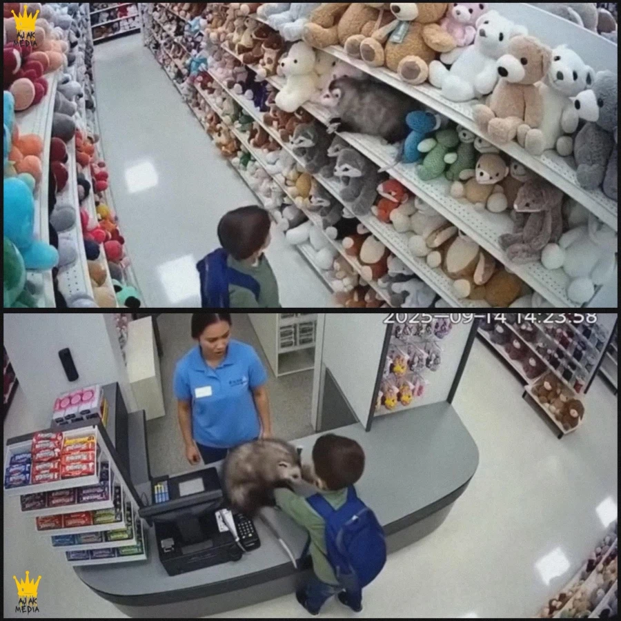 장난감가게에서 주머니쥐 인형을 산 아이의 결과_1.webp