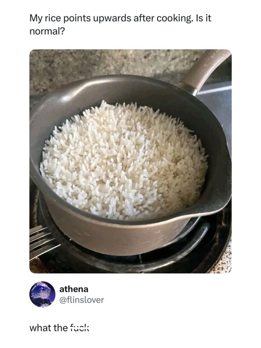 묘하게 기분 나쁜 밥 사진_1.webp