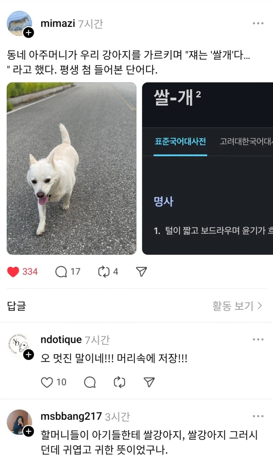 동네 아주머니가 우리 개보고