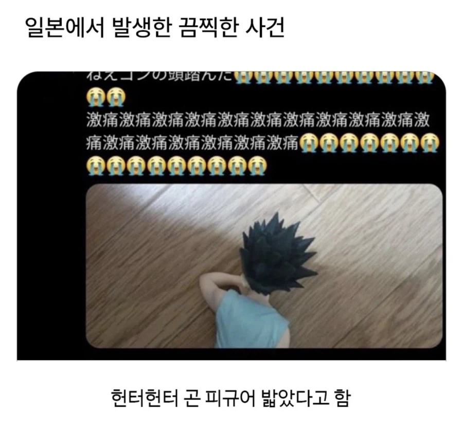 일본어 몰라도 알거같음_1.webp