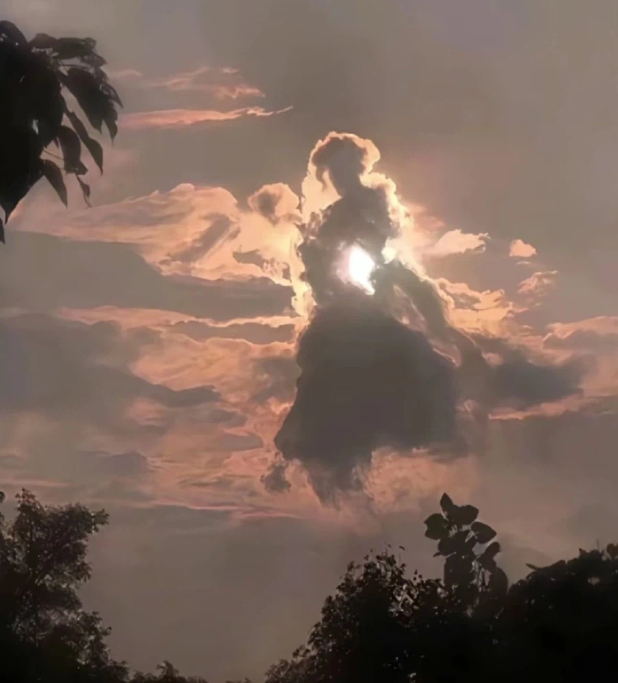 아톨 체리 멍멍이...jpg_1.webp