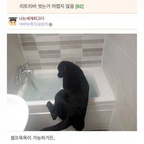 검은 챱츄 목욕시키는법_1.webp