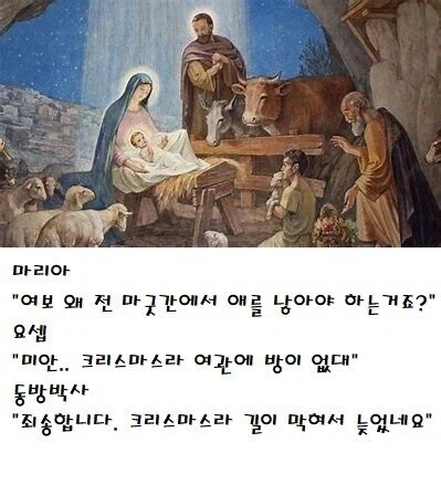 예수님이 마굿간에서 태어난 이유_1.webp