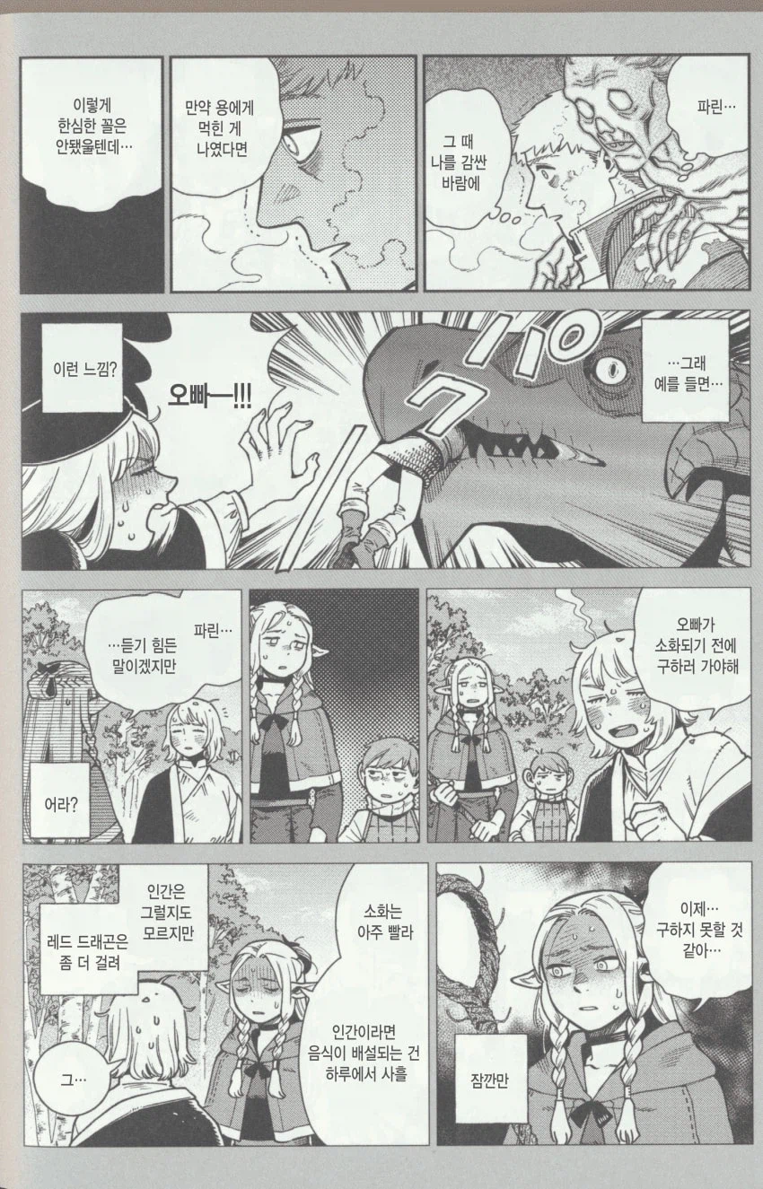 던전밥)이 시리즈에서 센시와 라이오스가 없어서 안 되는 이유_3.webp